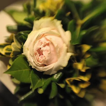 Luxury La Dimora Degli Angeli Couette-café