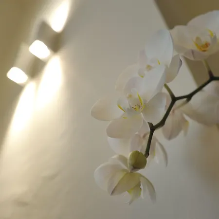 Luxury La Dimora Degli Angeli 4* Florence